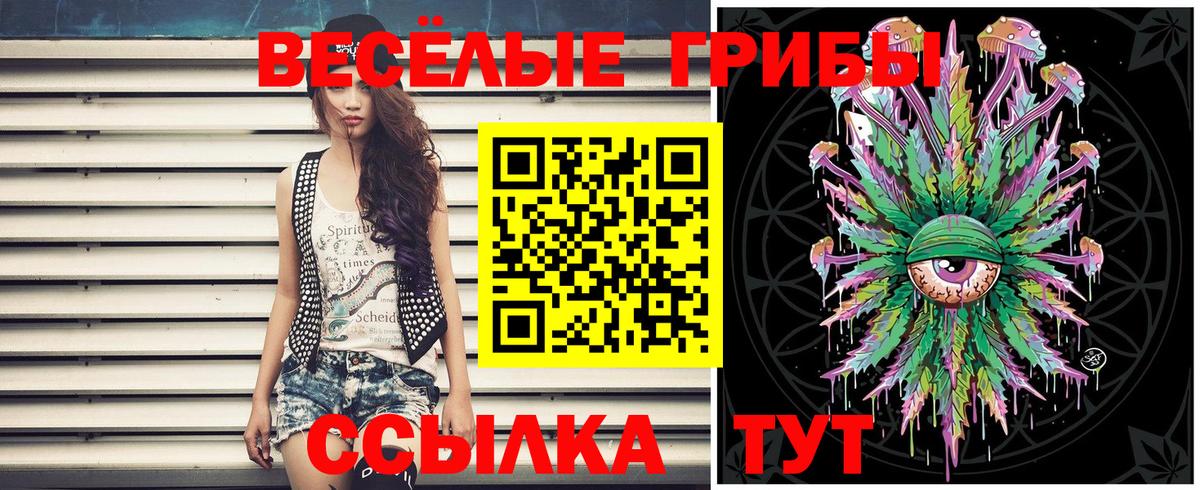 Псилоцибиновые грибы Psilocybe  Галлюциногенные грибы мицелий  Вход с VPN  Черняховск 